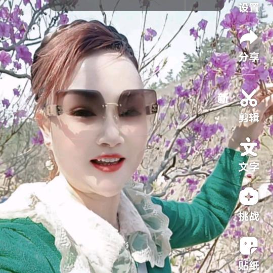 枫叶情