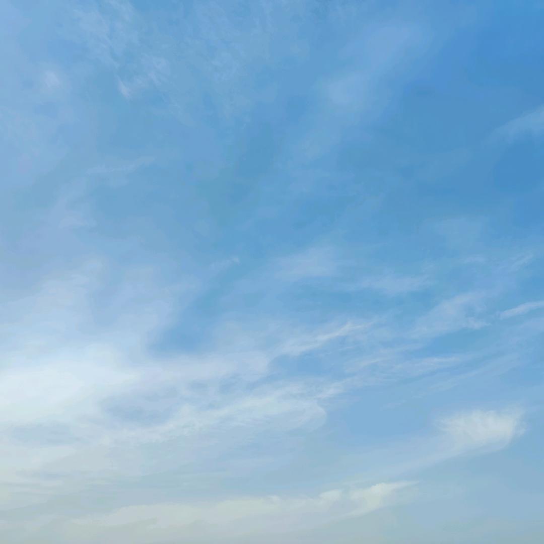 午林