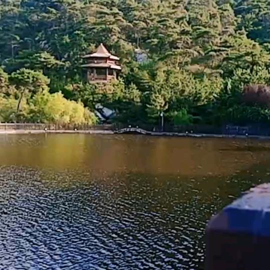 山村花姐