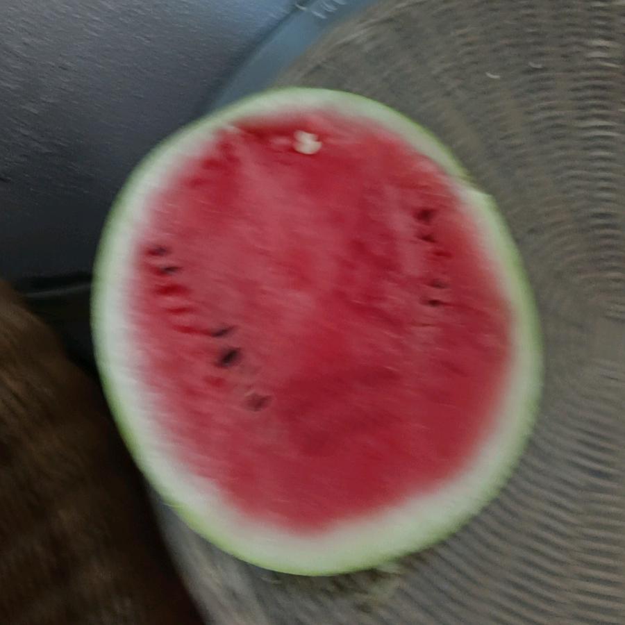 荣的橱窗有好物