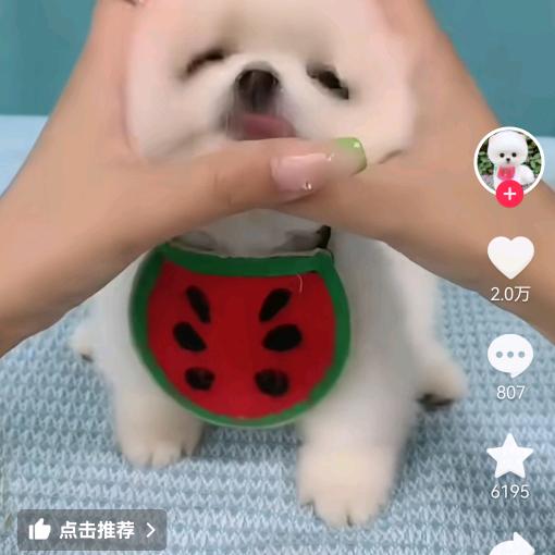 隔壁老李。