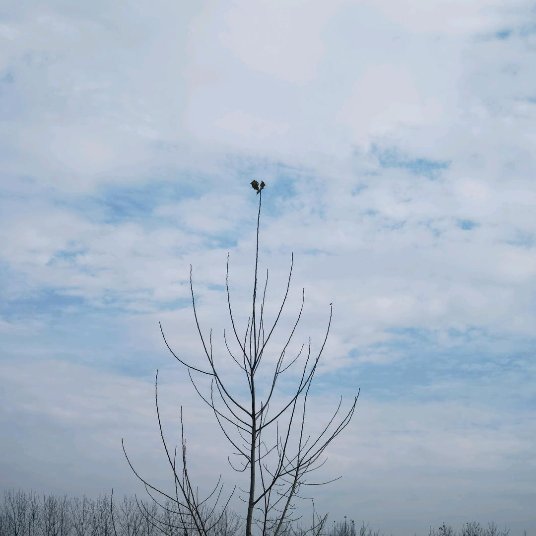 空灵and奔跑