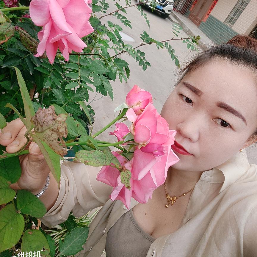 一恋花开