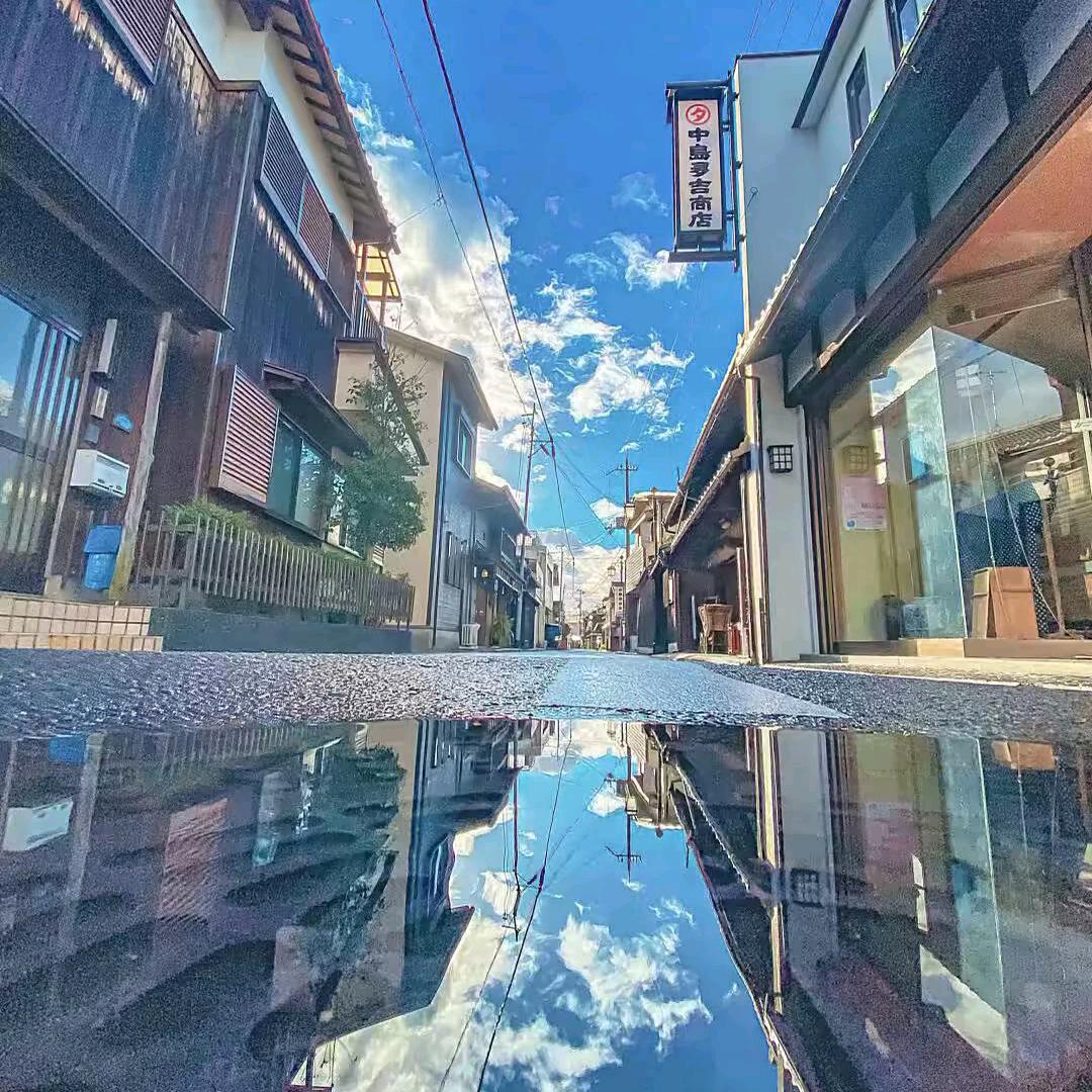 摆烂鸭