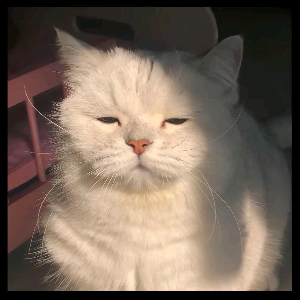 商陆