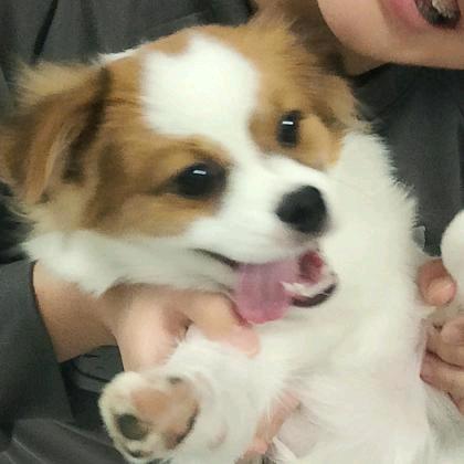 .木乐.