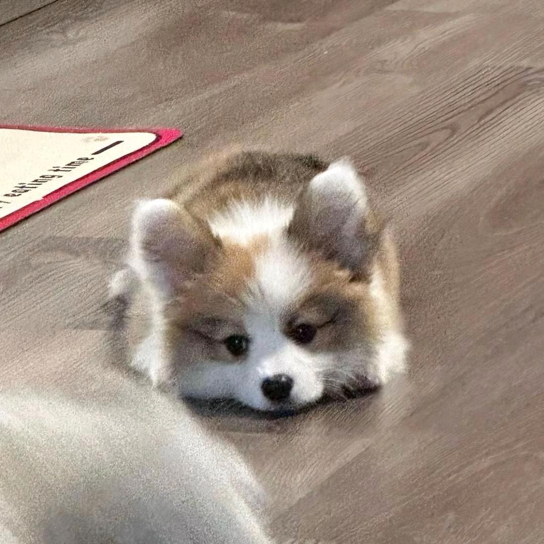 晴晴