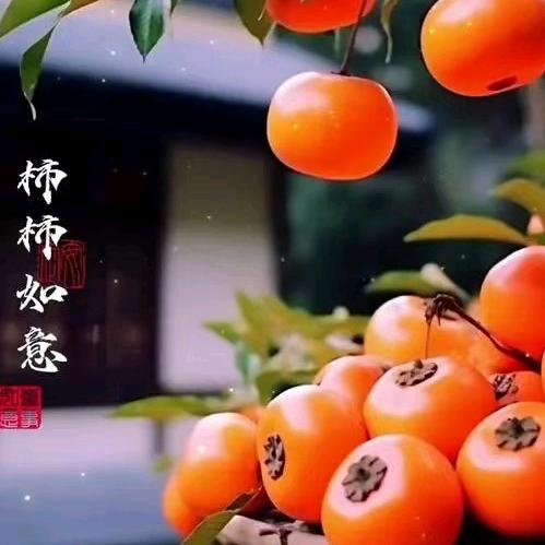 果树精准管理