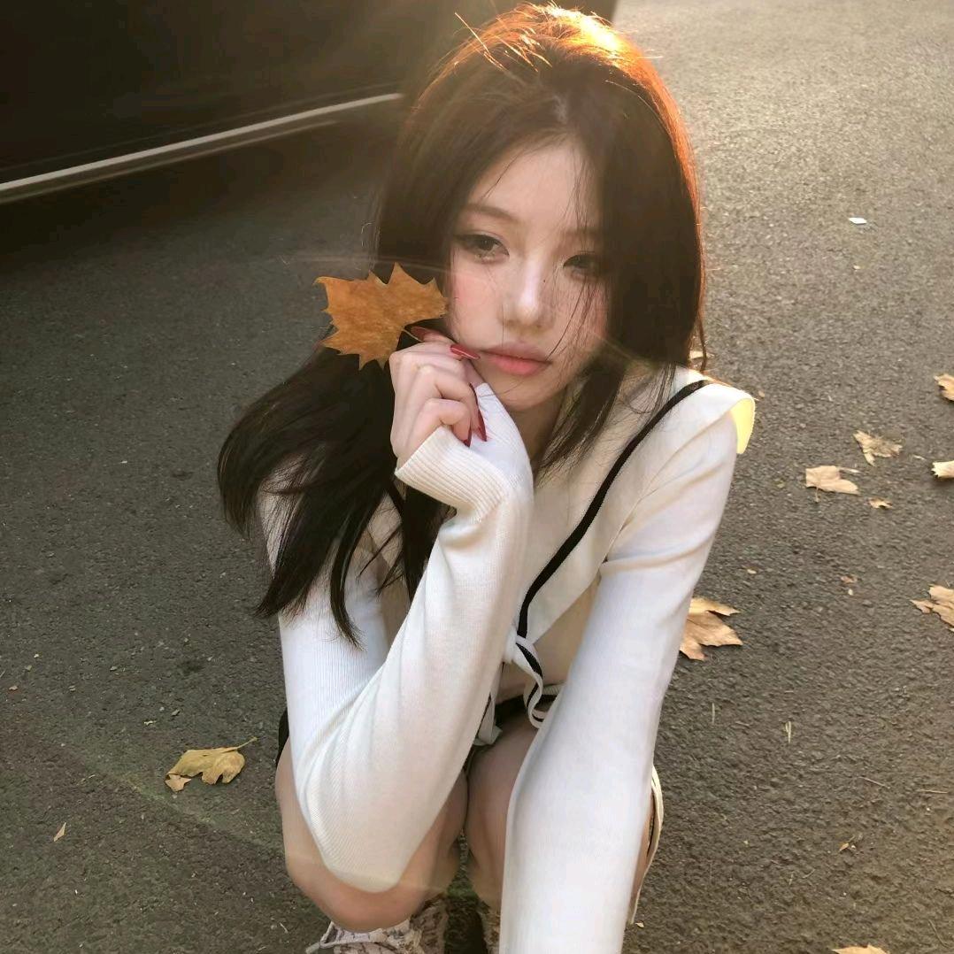 秋枫