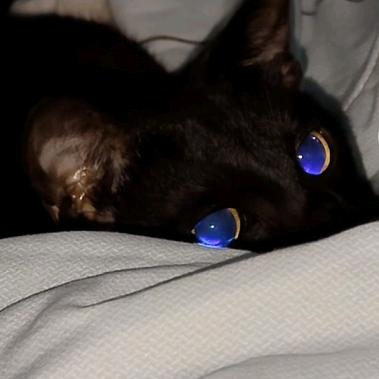 只想被阳光晒透