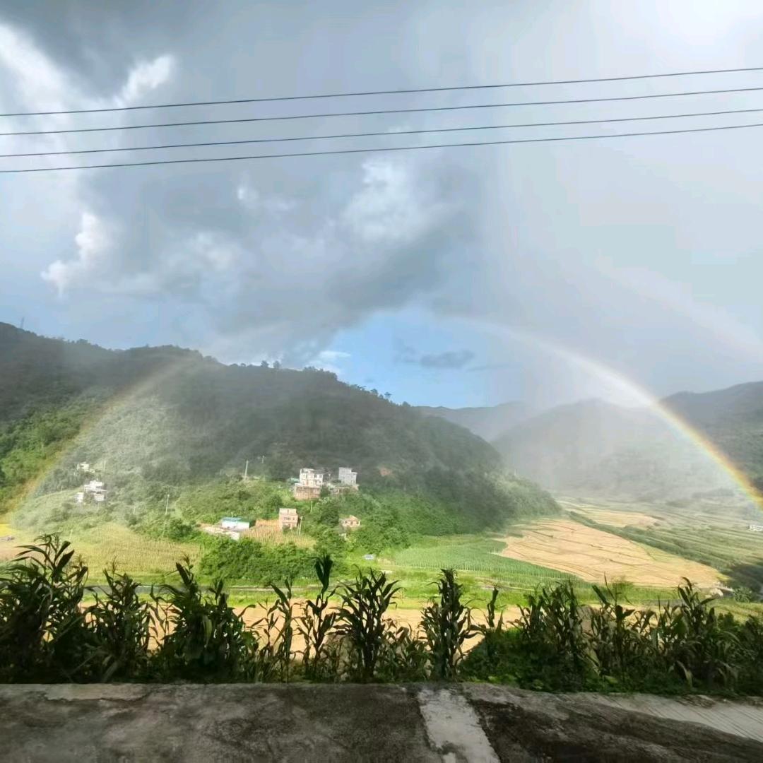 广西趙家公子。。趙虎