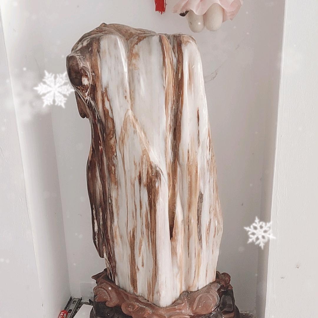 张志明头像