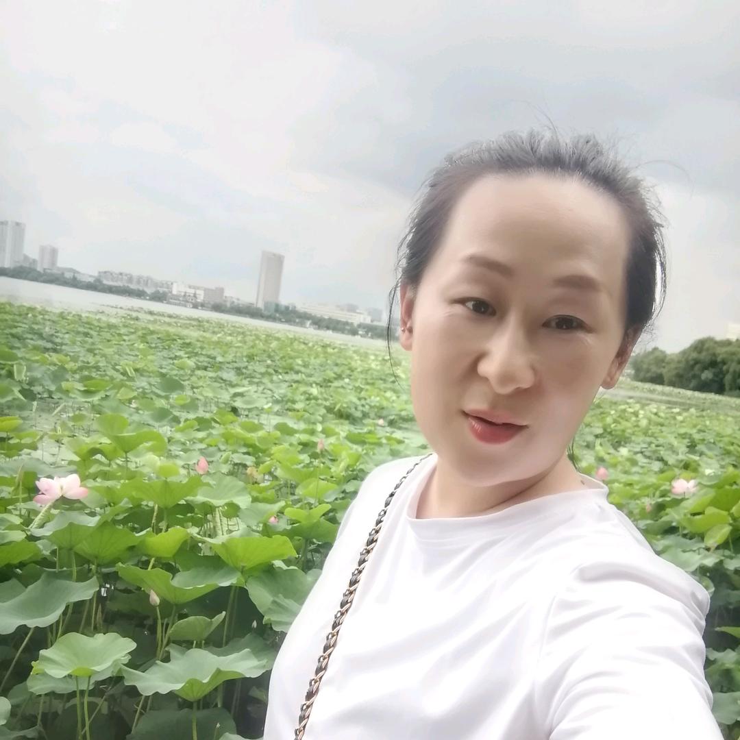 小蜜蜂（首播）