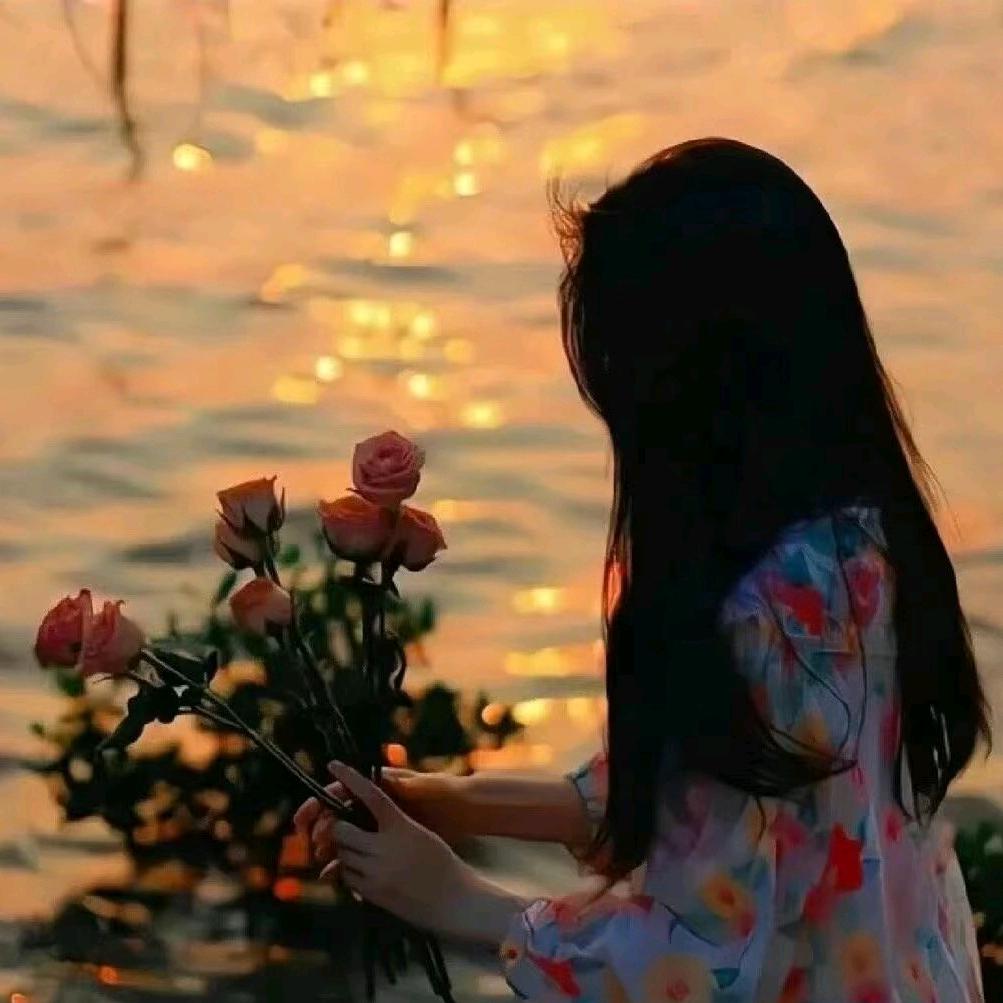 🌹封心锁爱🍀