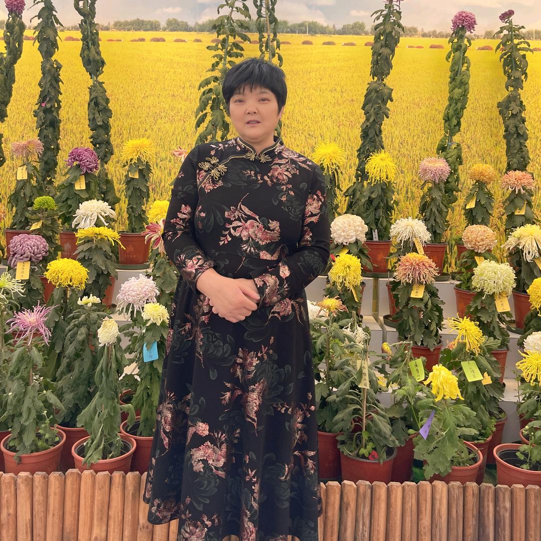 汪姐（每天晚上不定时开播）