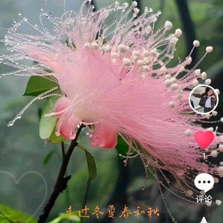 快乐一生🌹🌹🌷