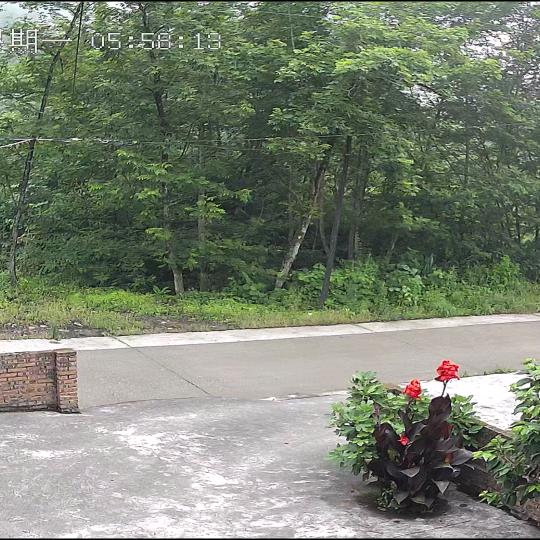 缘来是我