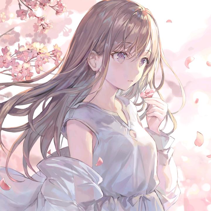 Li