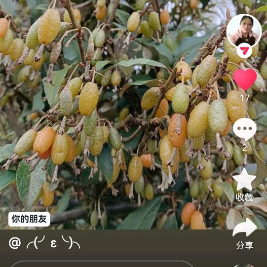 幸福的女人。