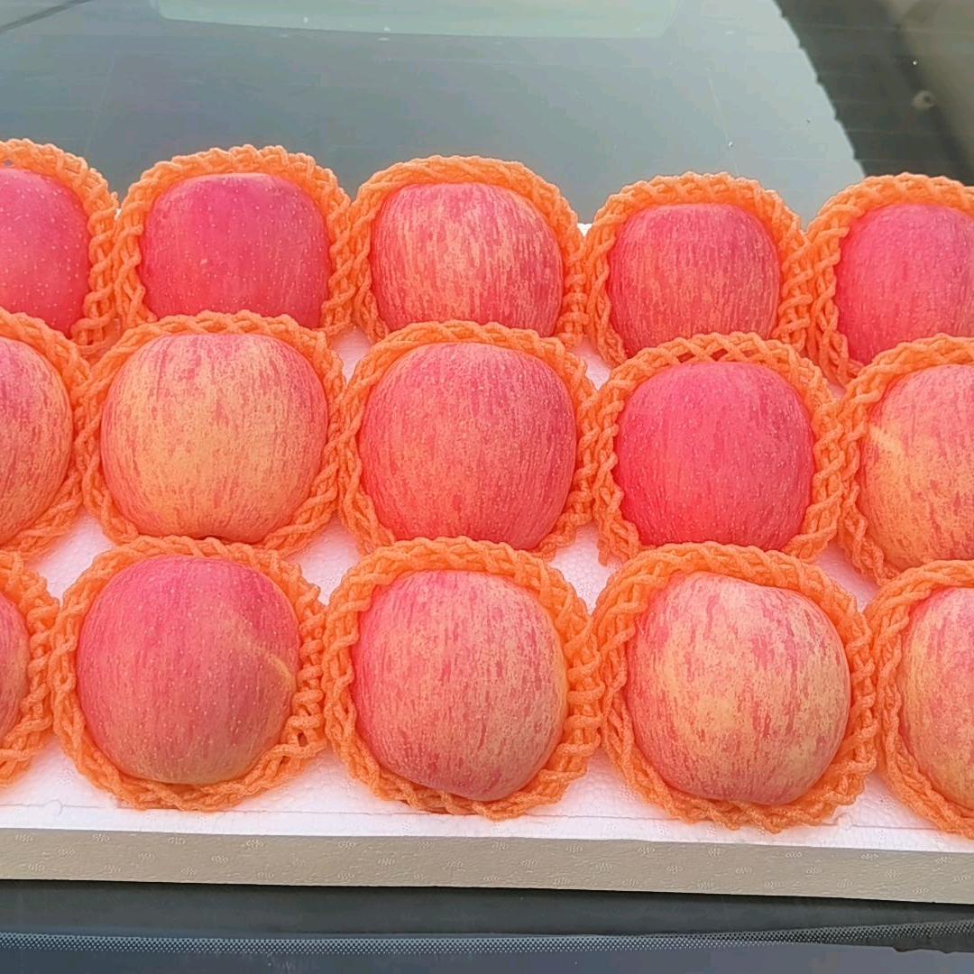 山西馬老大水果基地