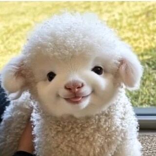 la hu pa eh yo🌸🌸🌸