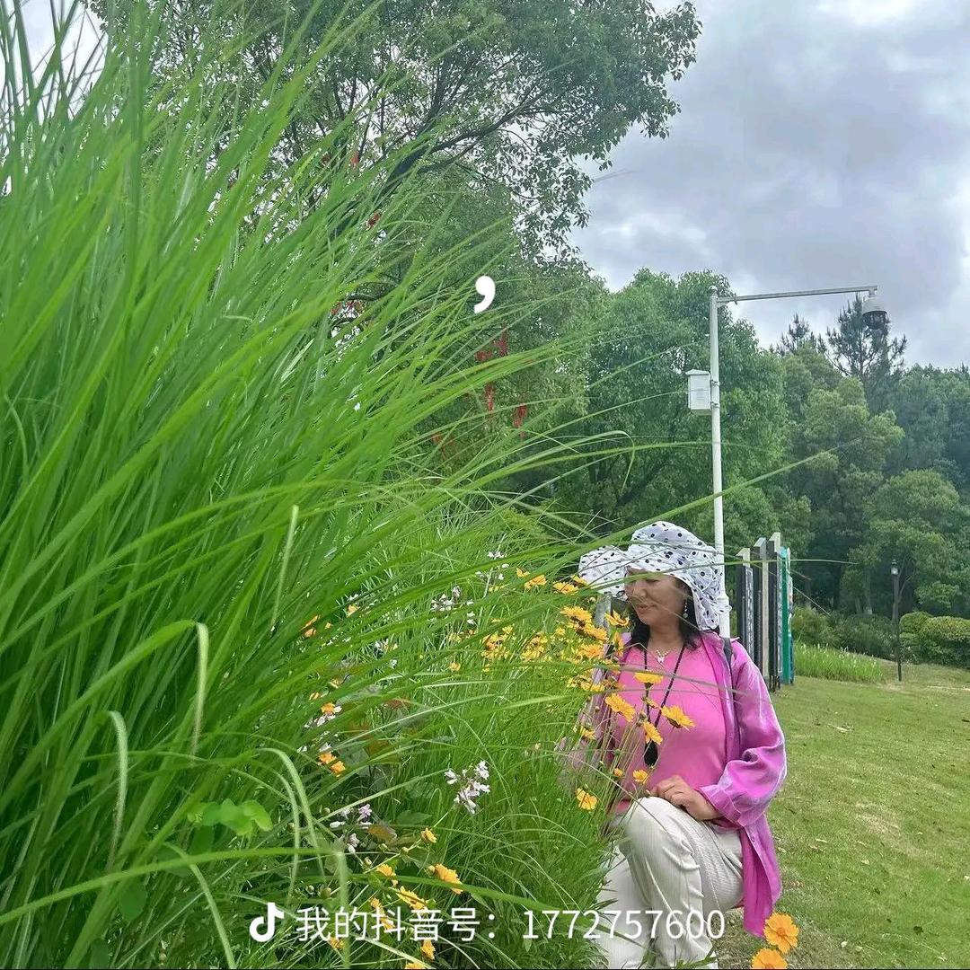 优雅的琴声