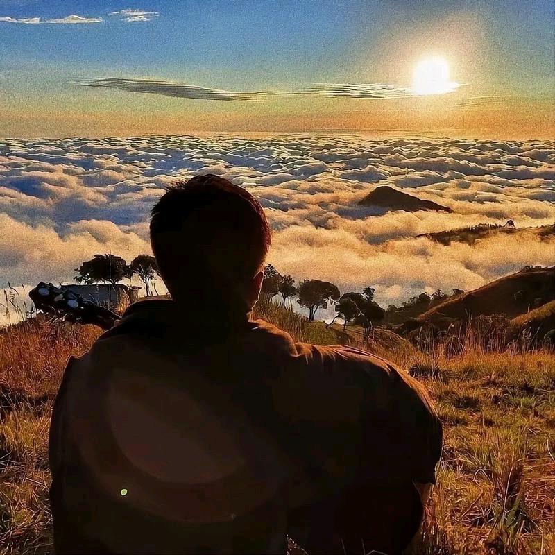 山东特产美食汇