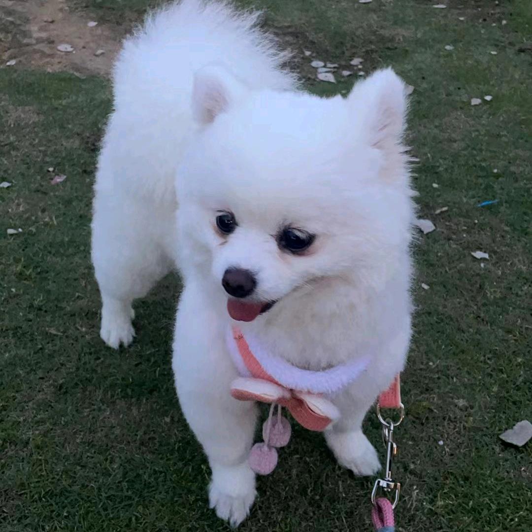 菲🌺用户227089709416