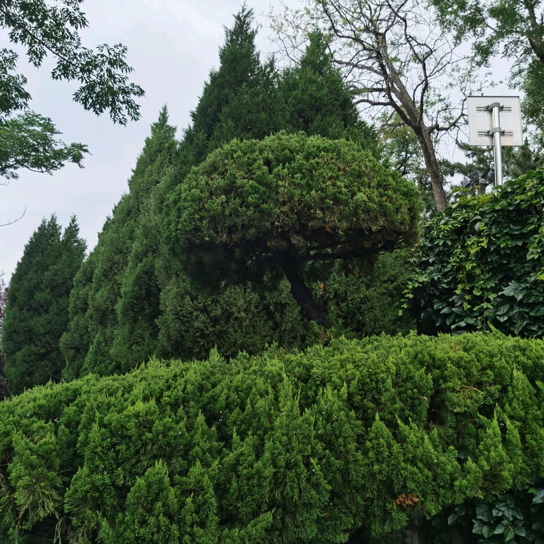 风雨无阻