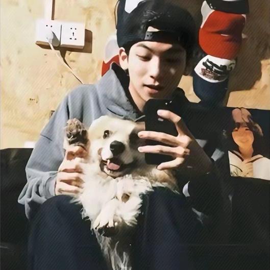 我的元宝丢了