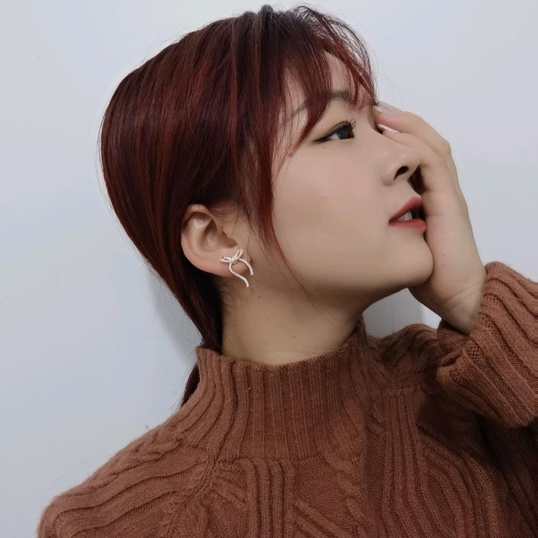 葱花饼～小燕子