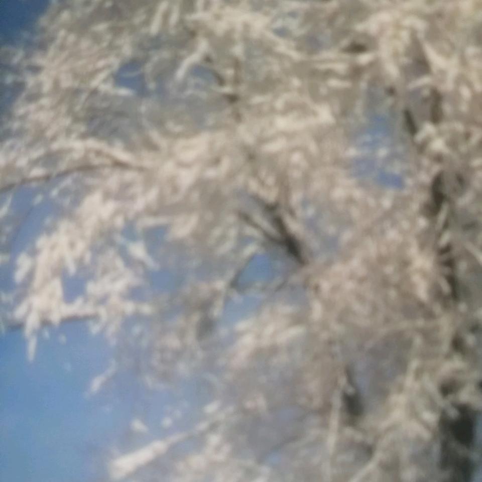 哆哆影视