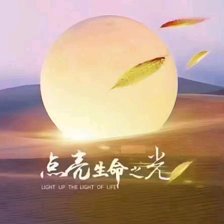 就业教育—毕江会