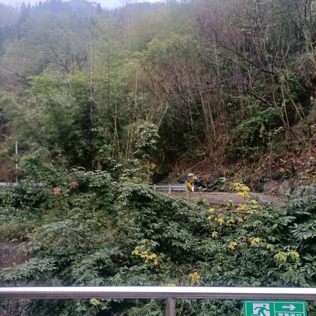 南山难三哥（0905）