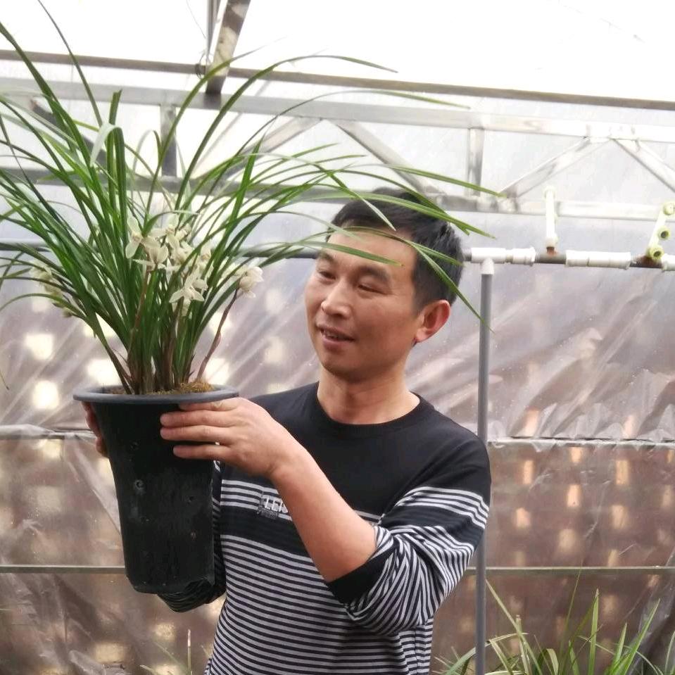 醉美乡村