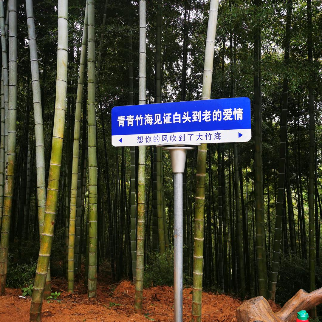 爱上你是我的错