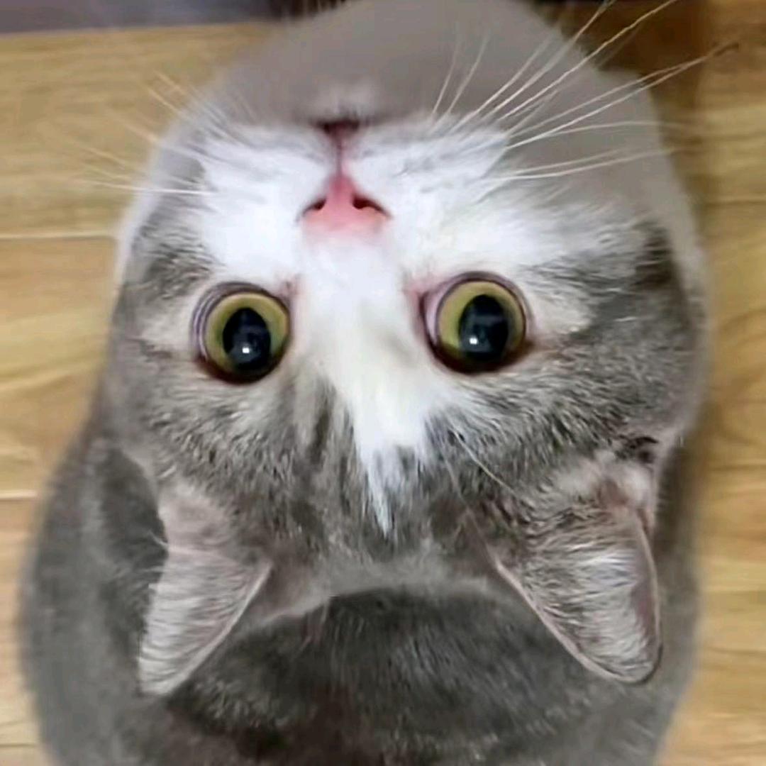 勿忘初心