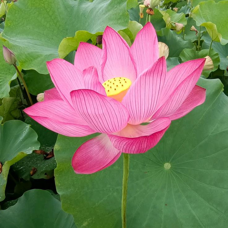 青春不打烊