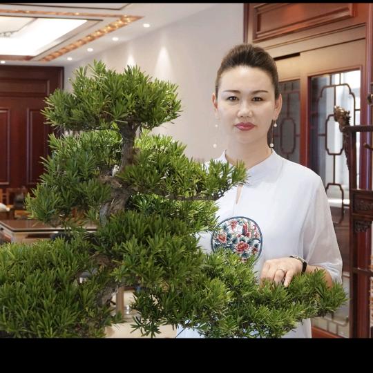 往事如烟