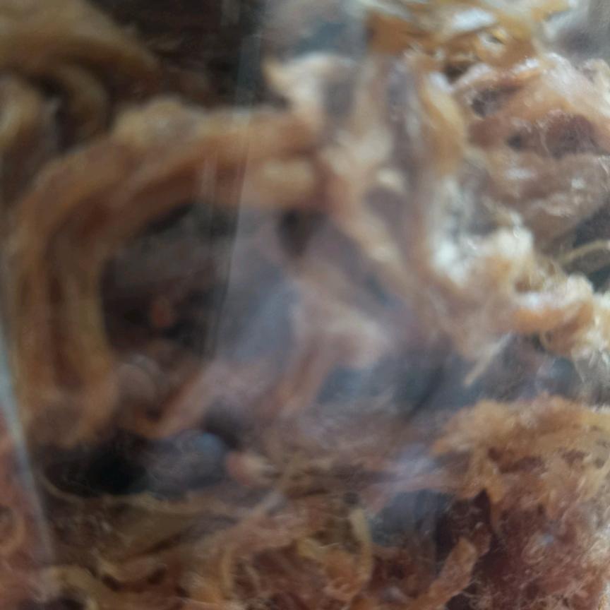 怪物第一等