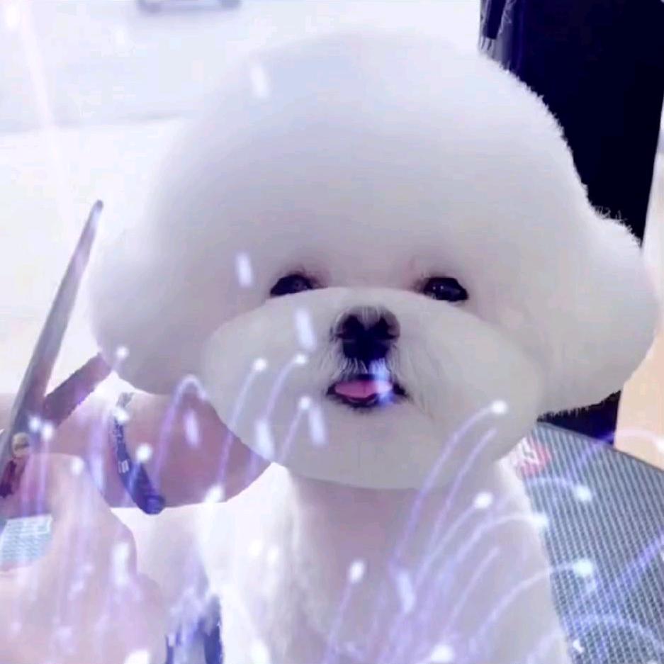 拖拔俊