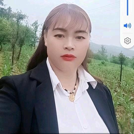 我的心也伤透了