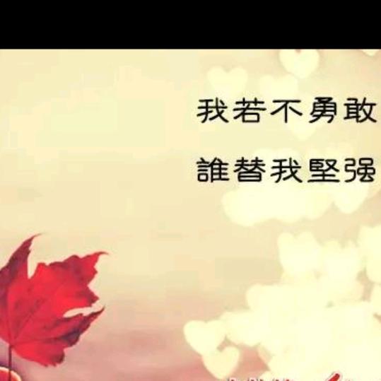 言言单身汉