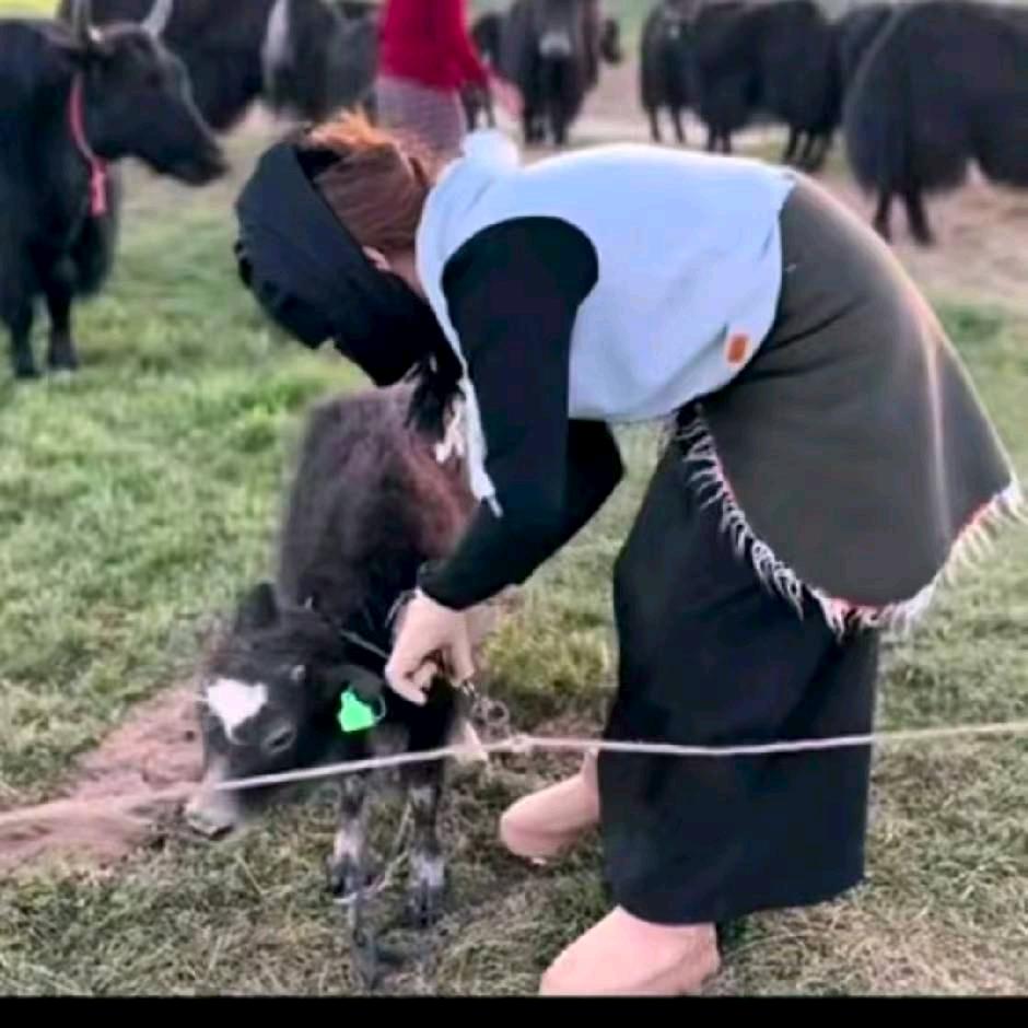 ࿐ སྨོན།🪷