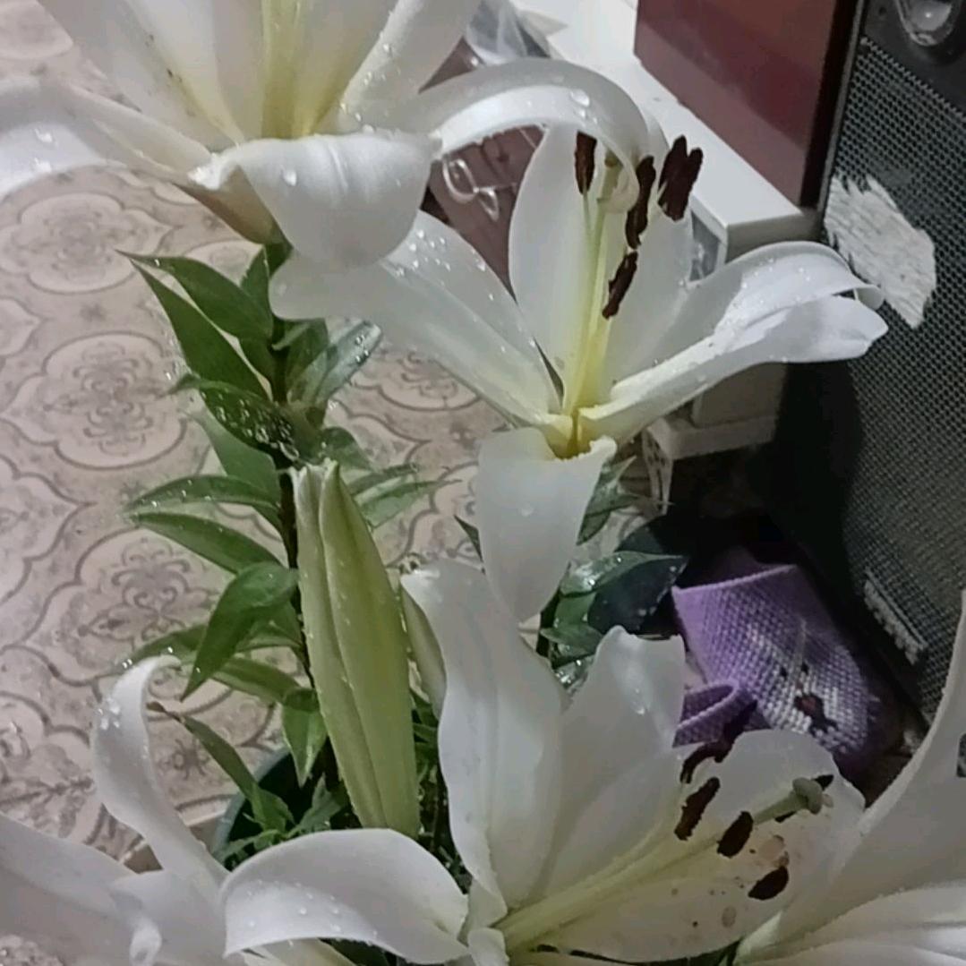 冬天的雪