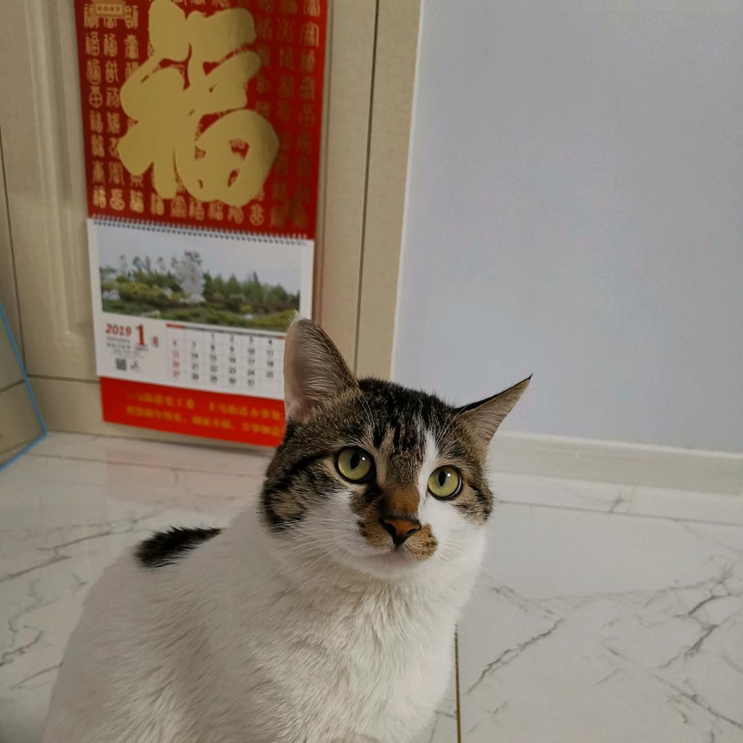 小琪～