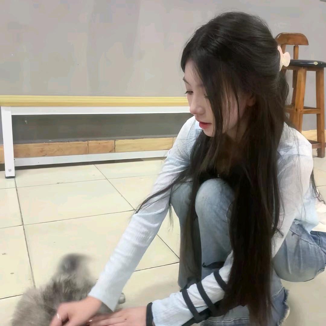 心碎笨蛋小狗