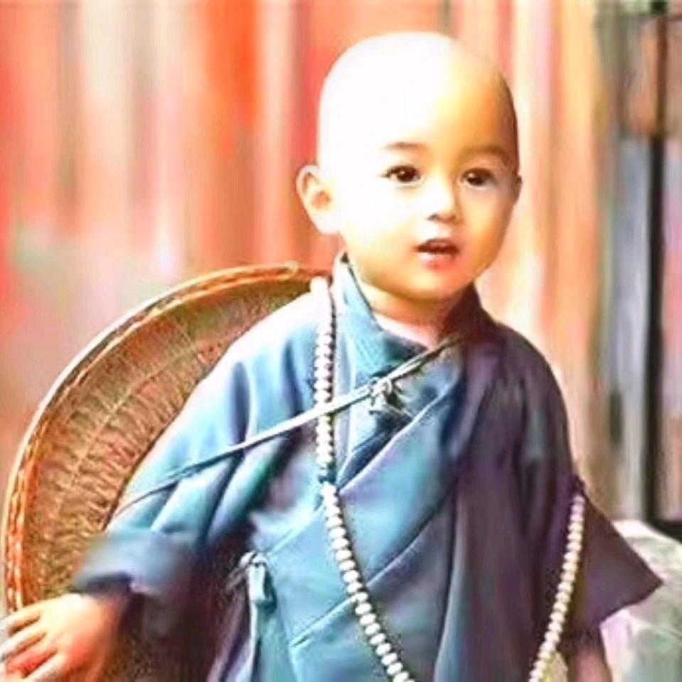 木头🎁