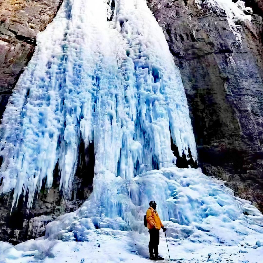 雪绒熊