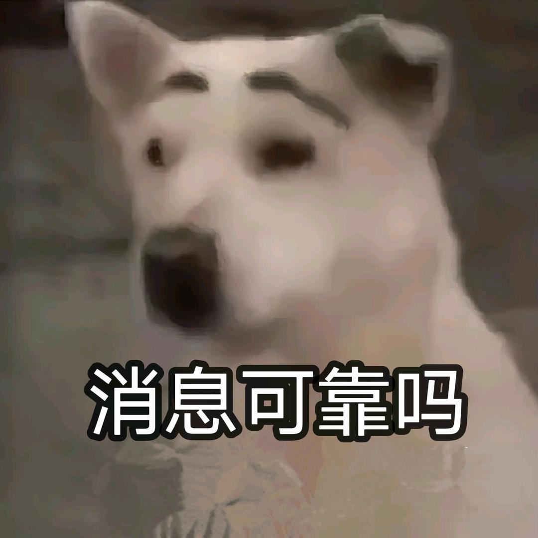 小白局势